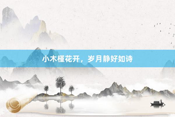 小木槿花开，岁月静好如诗