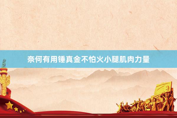 奈何有用锤真金不怕火小腿肌肉力量